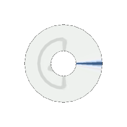 Rotating Donut example gif